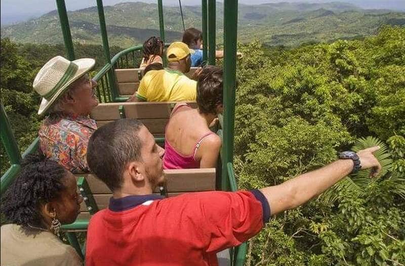 Landausflüge auf St. Lucia mit Rainforest Adventures