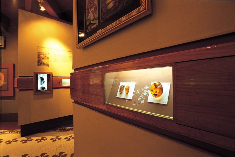 Amber Museum