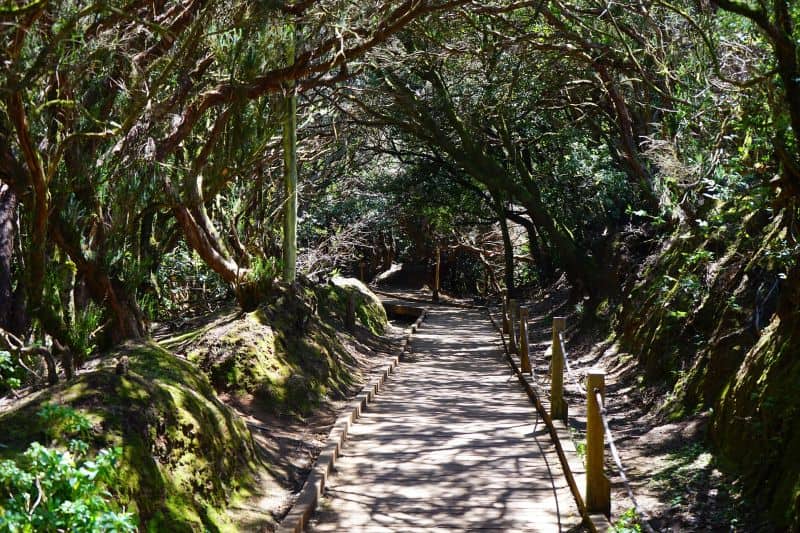 In Teneriffa auf eigene Faust ins Anaga-Gebirge