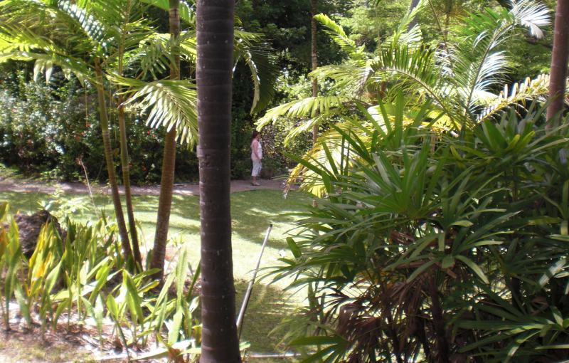 Landausflüge auf Barbados zu den Andromeda Botanic Gardens