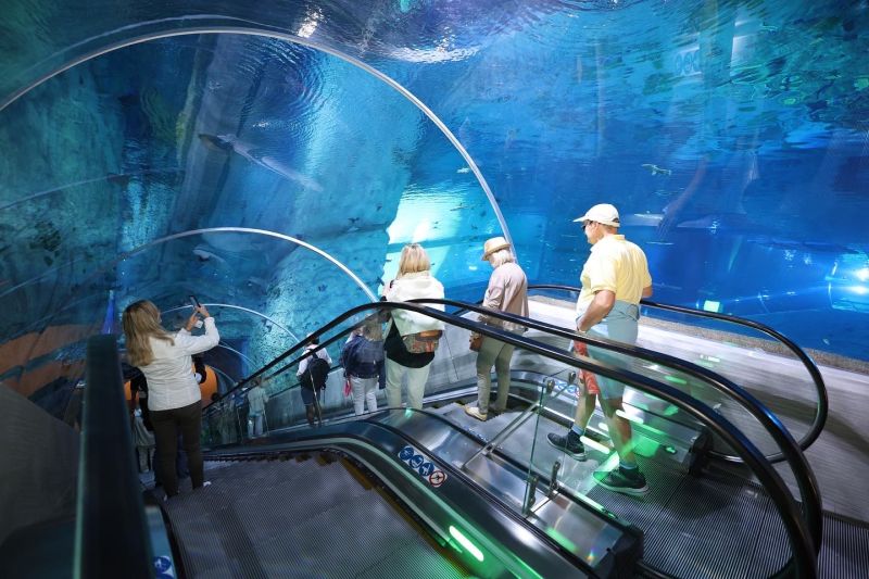 Aquariumtunnel im Doha Cruise Terminal