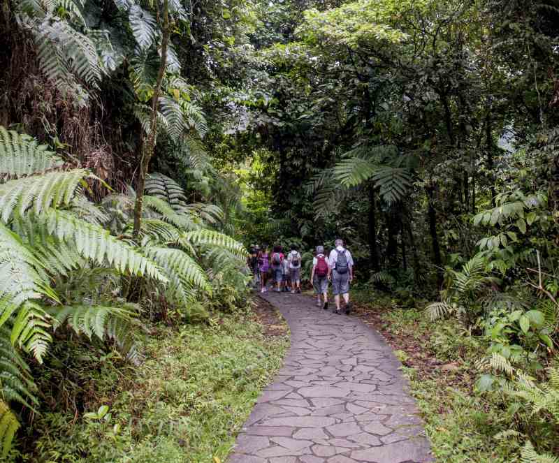 Auf Guadeloupe auf eigene Faust aufdem Weg zu den Wasserfällen von Carbet