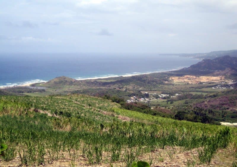 Landausflüge auf Barbados zum Cherry Tree Hill