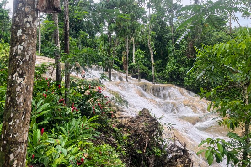 Blick vom Weg auf den Dunn's River Falls