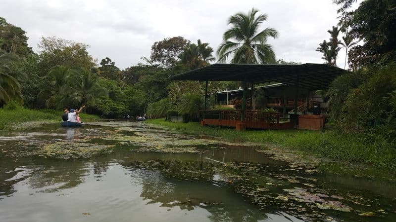 Landausflüge in Puerto Limon zu den Kanälen von Tortuguero