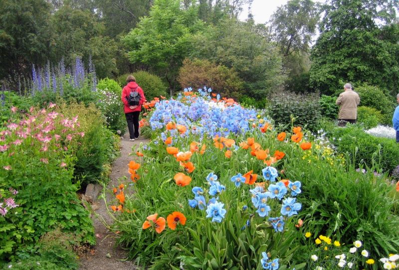 Botanischer Garten von Akureyri
