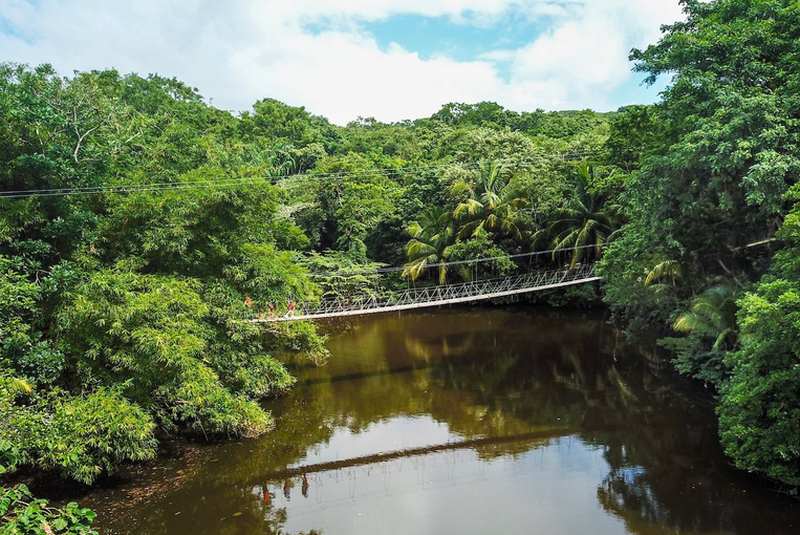 Brücke im Gumbalimba Park