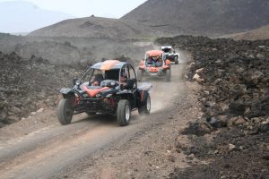 Buggy Safari