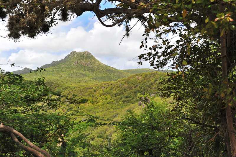 Christoffel Nationalpark ist Ziele für Landausflüge auf Curacao