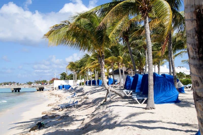 Clam Shells am Strand von Grand Turk