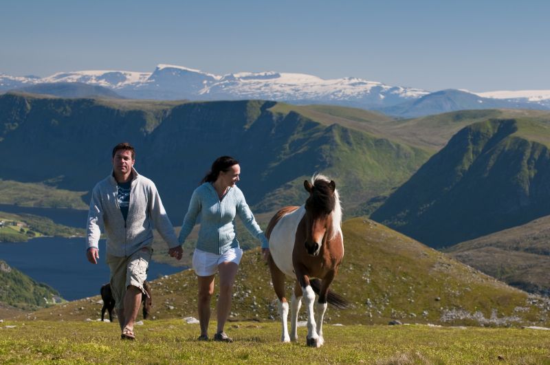 Landausflüge in Nordfjordeid zum Vestkapp