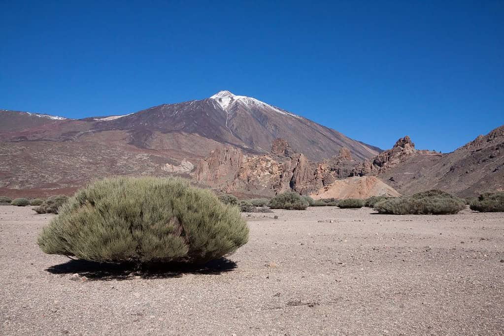 Tenerifa Landausflüge