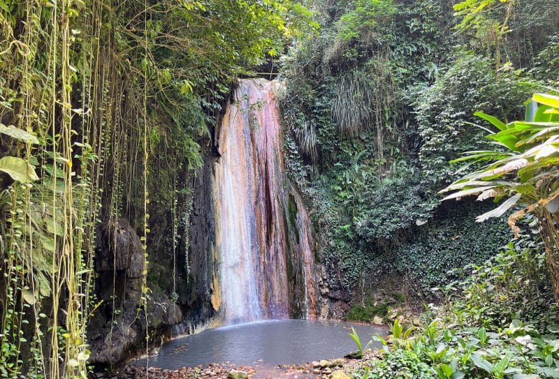 Der Wasserfall in den Diamond Botanical Gardens
