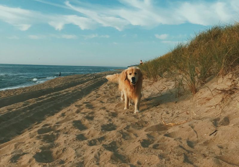 Der herrliche Strand von Smiltyne