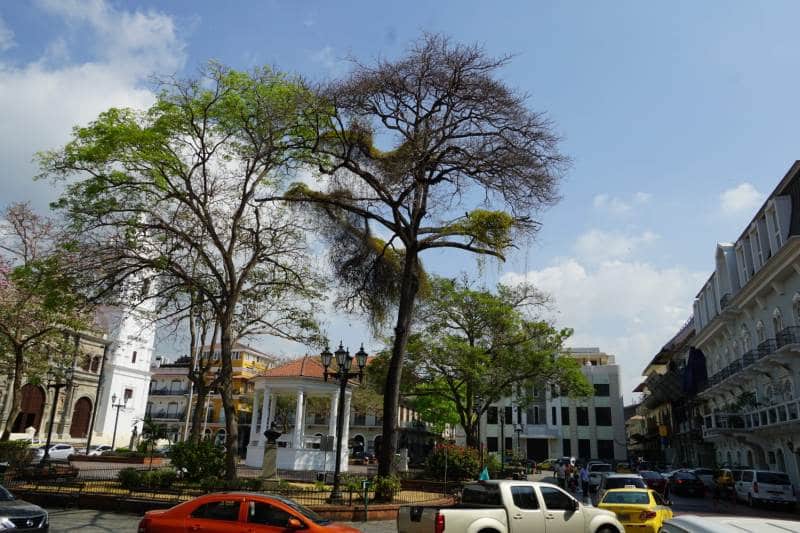 Landausflüge in Colon nach Panama-Stadt