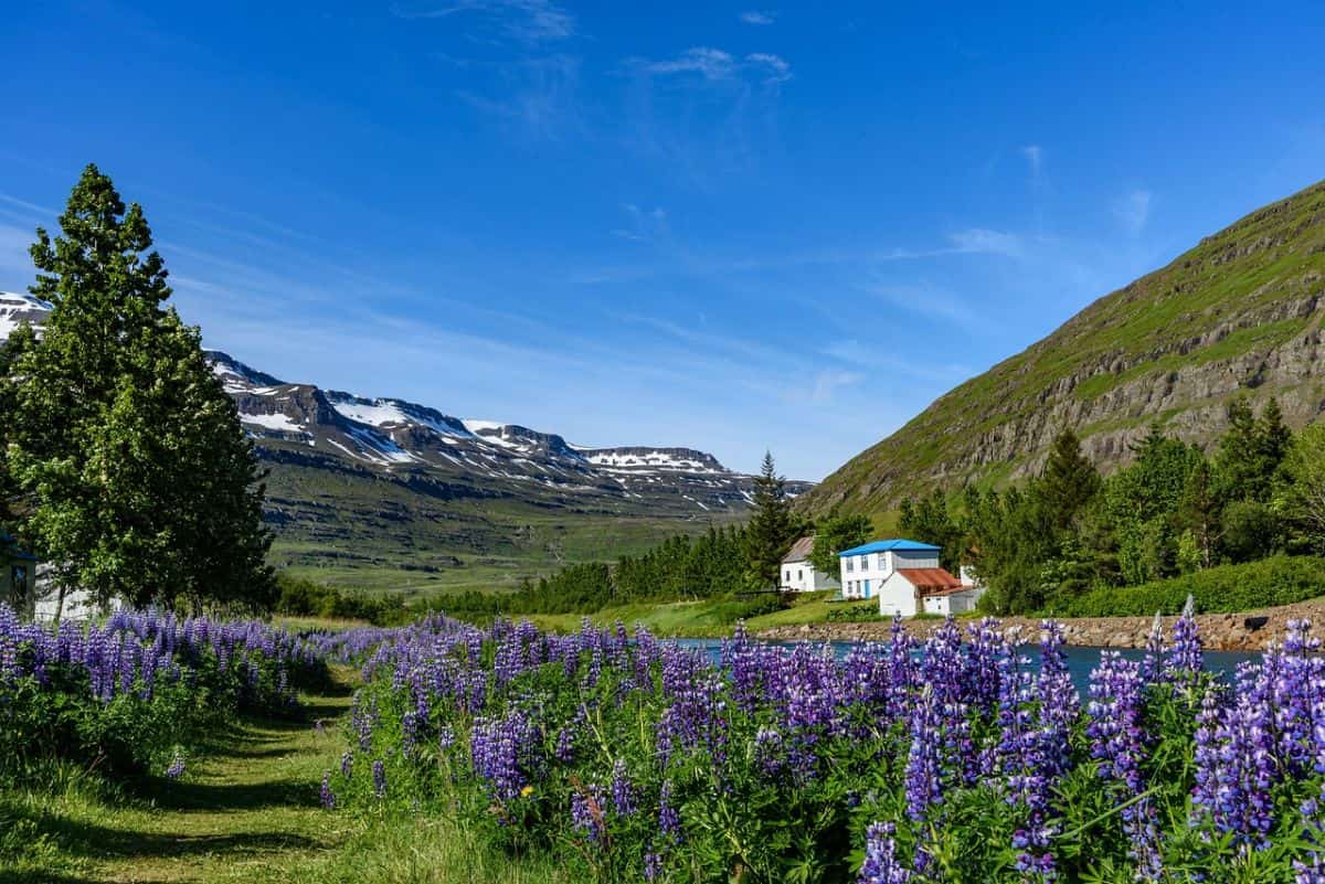 Seyðisfjörður Landausflüge