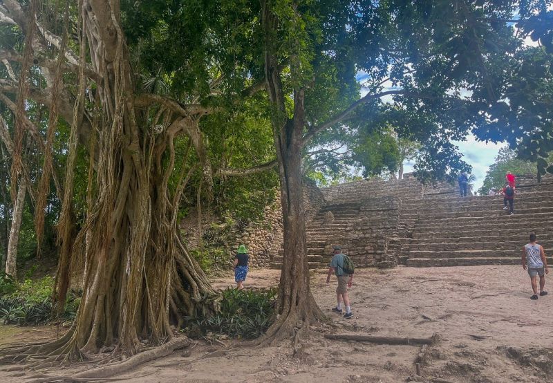 Landausflüge in Costa Maya zu den Ruinen von Chacchoben
