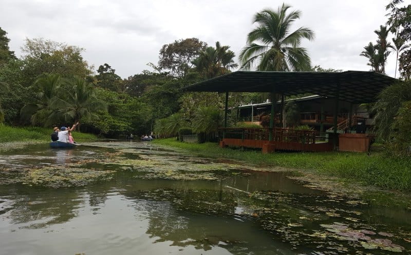 Fahrt auf den Kanälen von Tortuguero