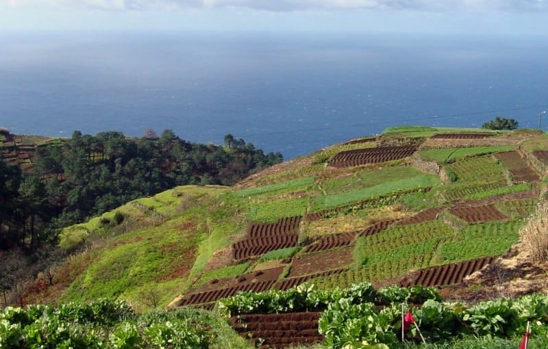 Landausflüge auf Madeira