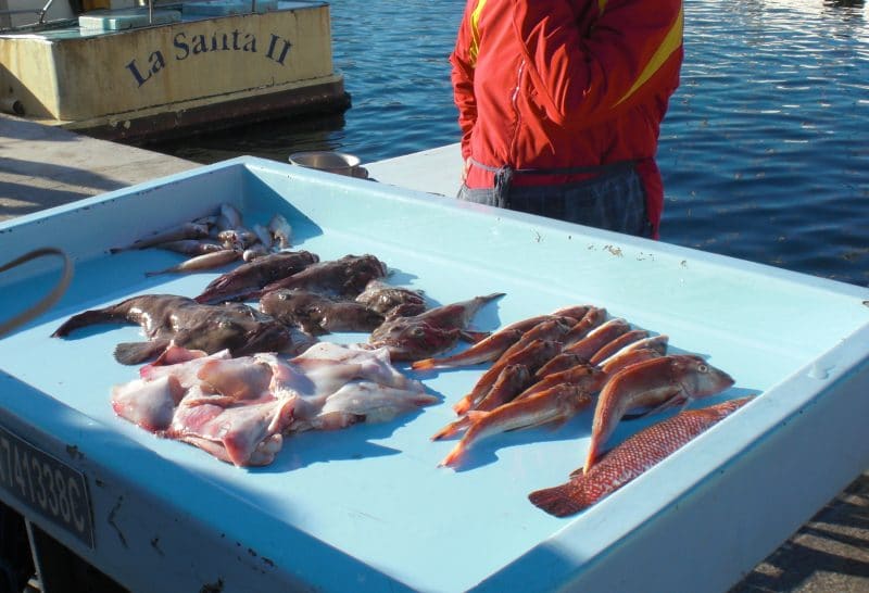 Fischmarkt am Vieux Port