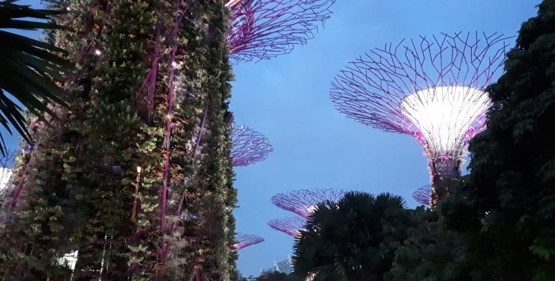 Gardens by the Bay