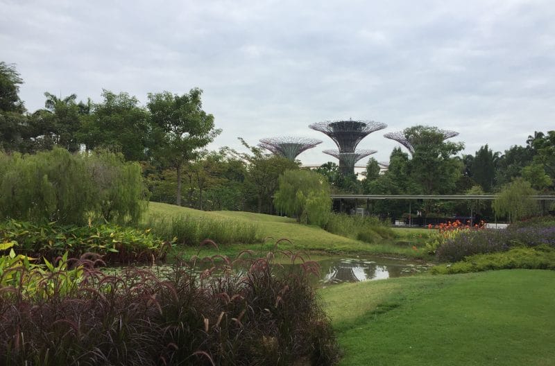Gardens by the Bay