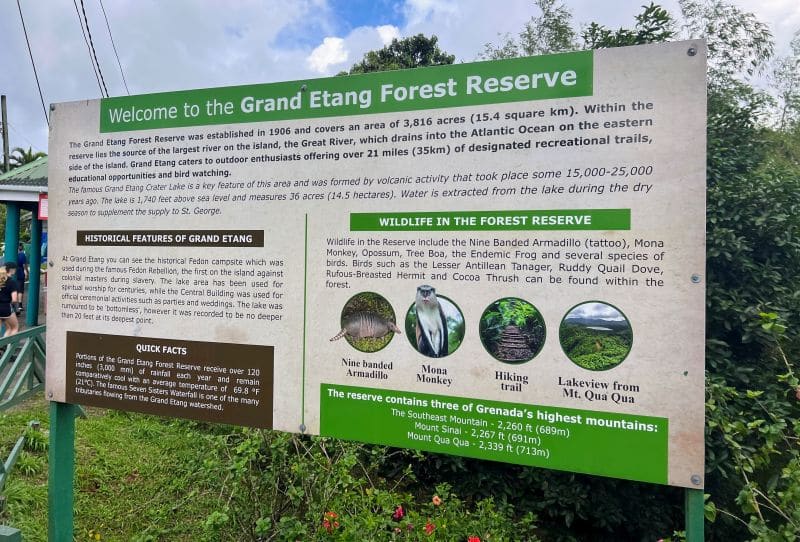 Grand Etang Forrest Reserve