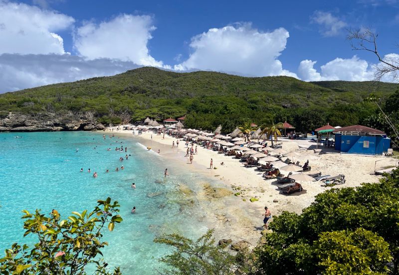 Grote Knip