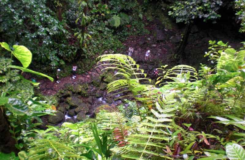 Landausflüge auf Dominica zu den Trafalgar Falls