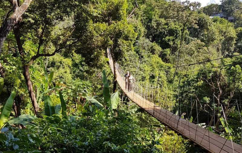 Die Hängebrücke im Maya Eden Eco Park