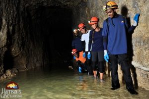Harrisons Cave