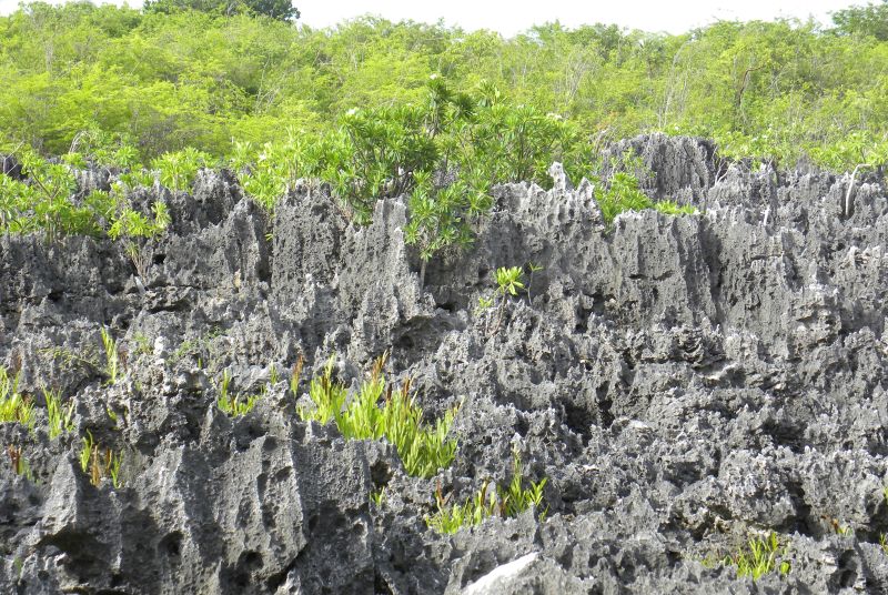 Hell auf Grand Cayman