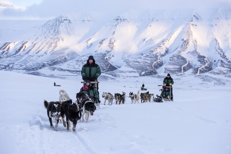 Hundeschlitten auf Spitzbergen