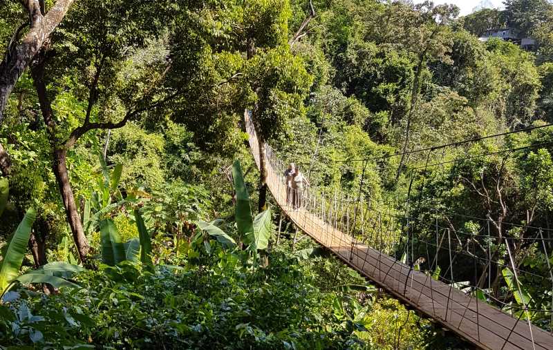 Hängebrücke im Maya Eden Eco Park