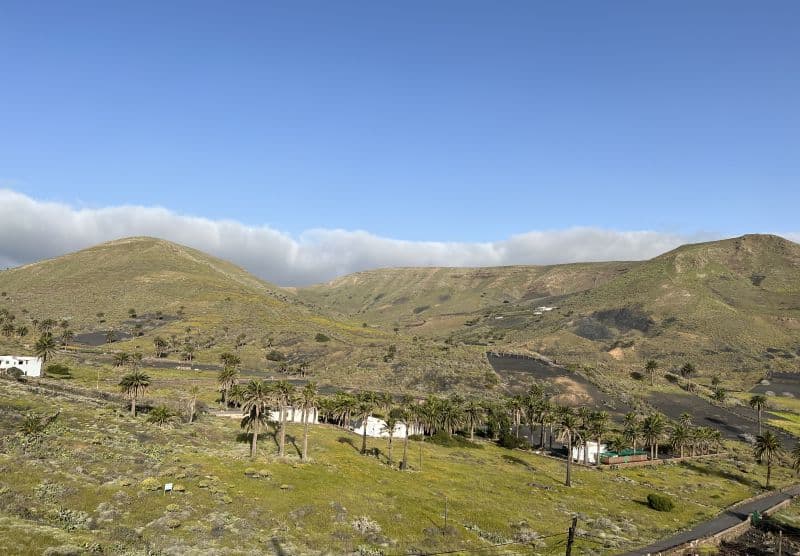 Landausflüge auf Lanzarote ins Tal der tausend Palmen