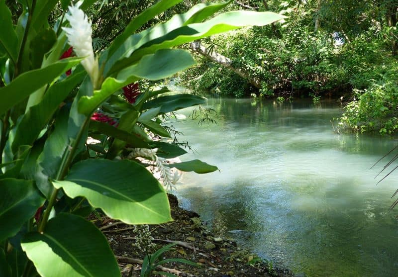 Jamaika ist eine grüne Insel