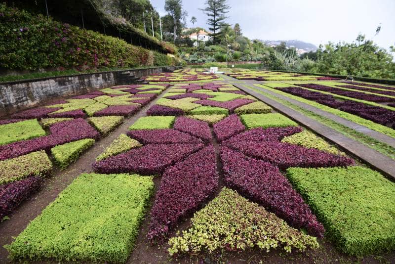 Jardim Botanico da Madeira