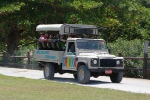 Jeep Safari