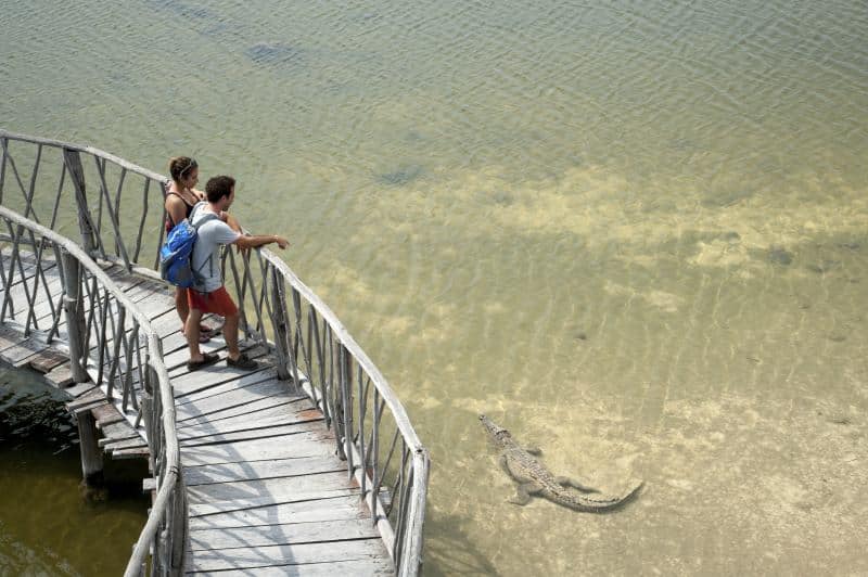 Krokodile im Punta Sur Eco Beach Park