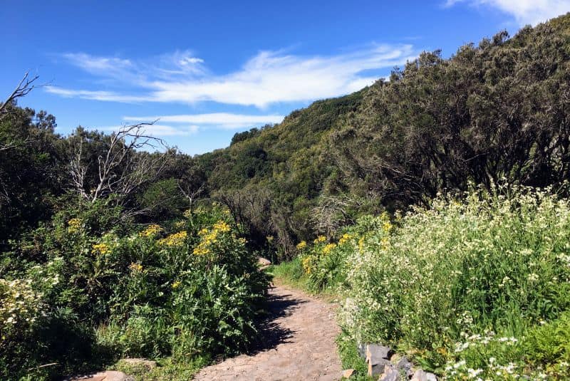 La Gomera ist ein Paradies für Wanderer