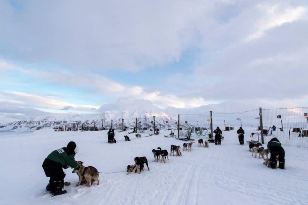 Longyearbyen auf eigene Faust Landausflüge Longyearbyen auf eigene Faust Landausflüge