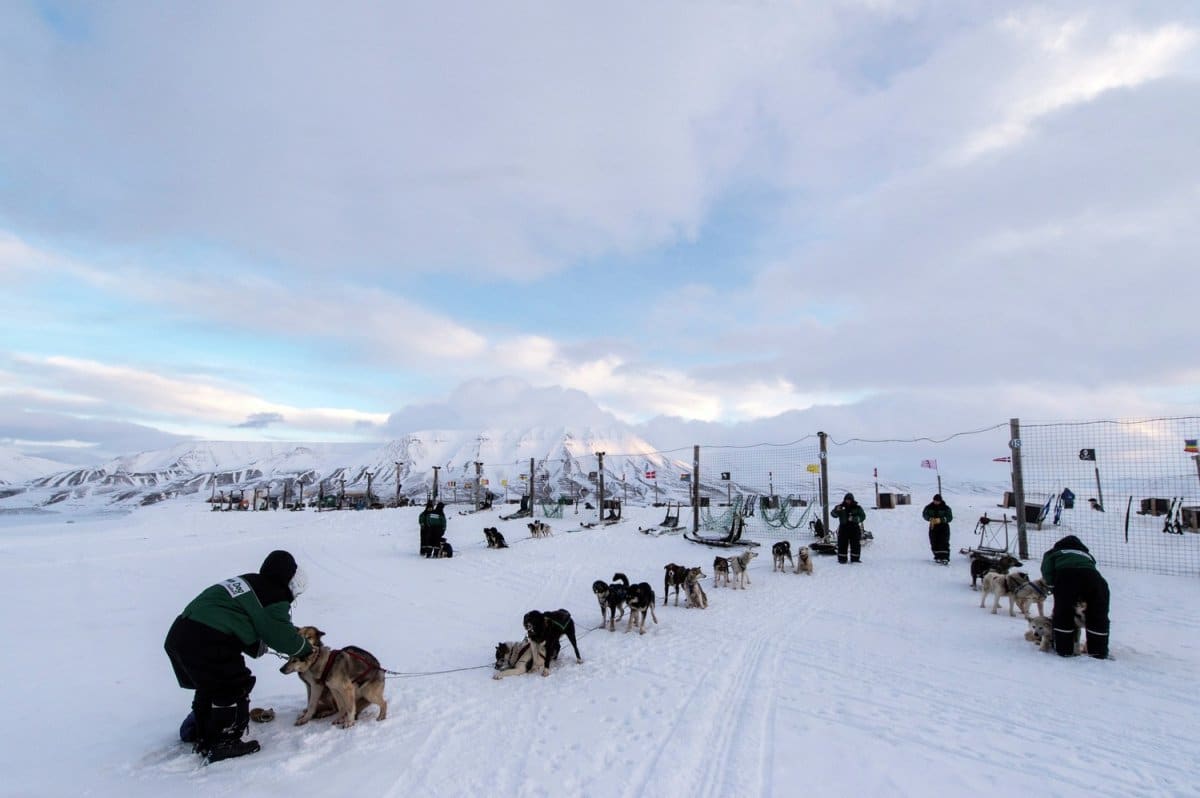 Longyearbyen Landausflüge