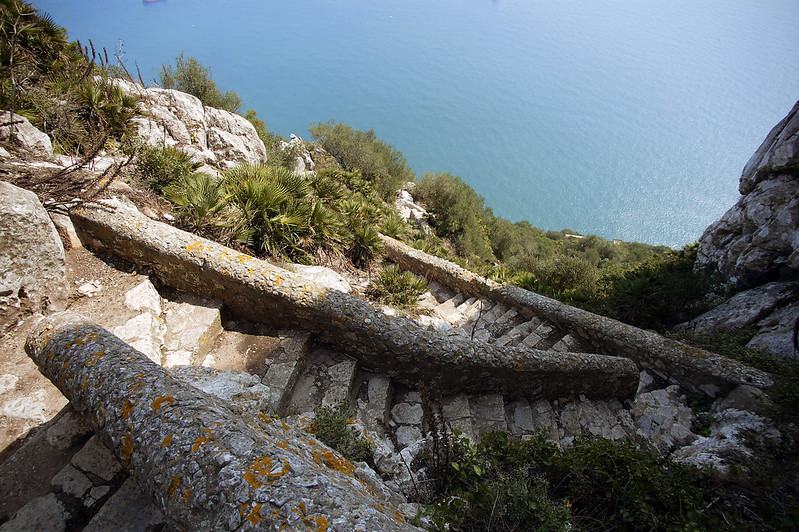 Mediterranean Steps