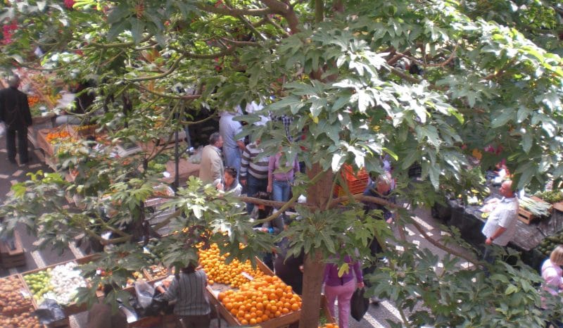 Mercado dos Lavradores
