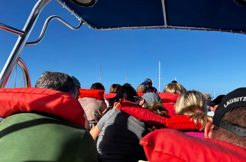 Mit dem Schnellboot zur Isla Saona
