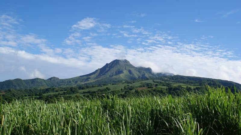 Montagne Pelée