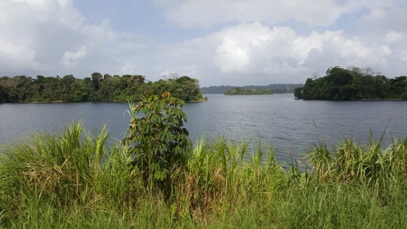 Natur am Panamakanal