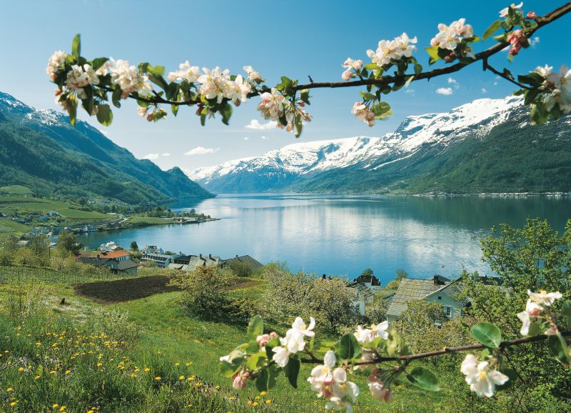 Landausflüge in Bergen zum Hardangerfjord