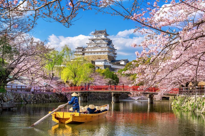 Osaka Castle zur Zeit der Kirschblüte