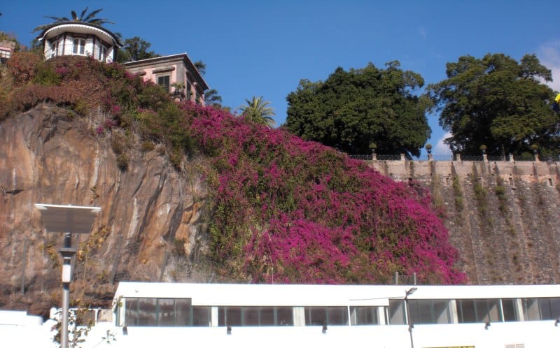 Blick auf den Parque de Santa Catarina
